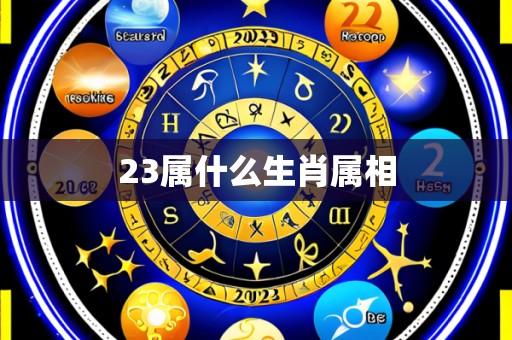 23属什么生肖属相