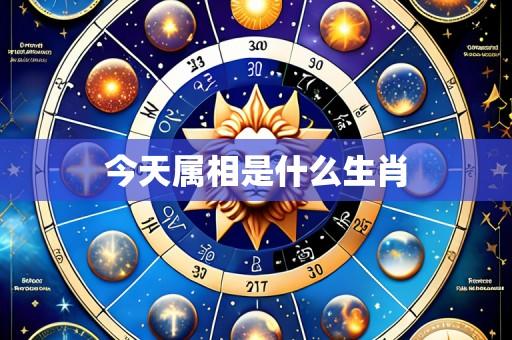今天属相是什么生肖