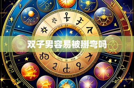 双子男容易被掰弯吗