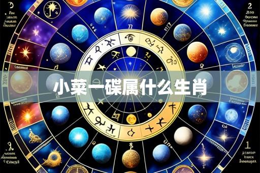 小菜一碟属什么生肖