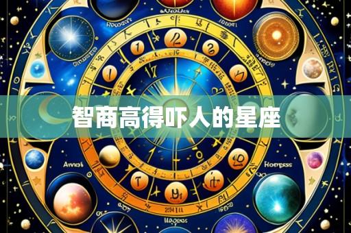智商高得吓人的星座