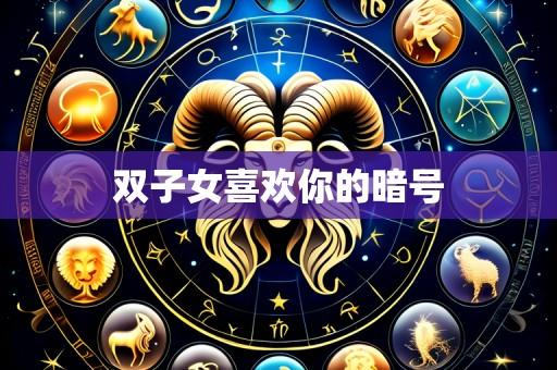双子女喜欢你的暗号