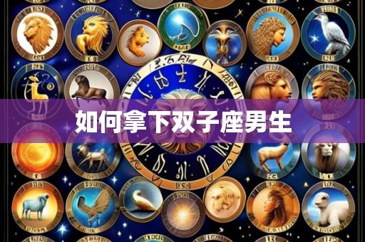 如何拿下双子座男生