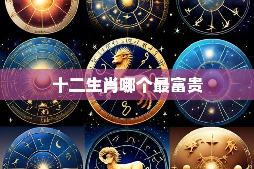 十二生肖哪个最富贵