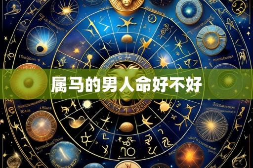 属马的男人命好不好