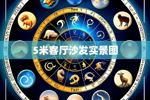5米客厅沙发实景图