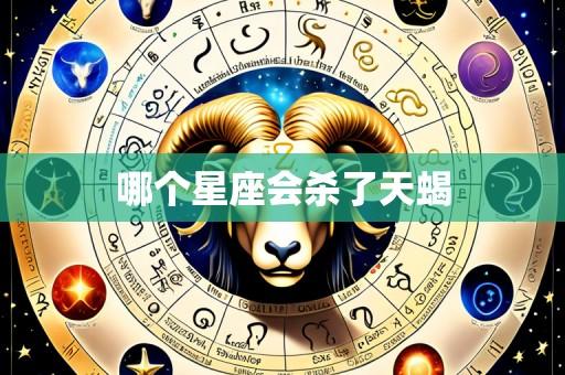 哪个星座会杀了天蝎