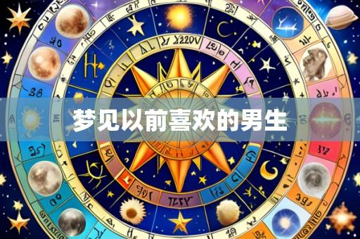 梦见以前喜欢的男生