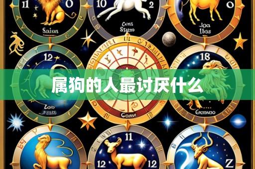 属狗的人最讨厌什么