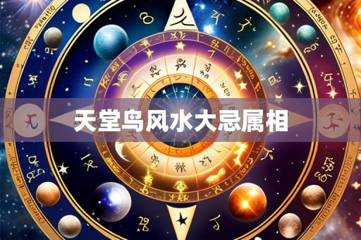天堂鸟风水大忌属相