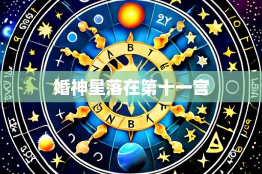 婚神星落在第十一宫