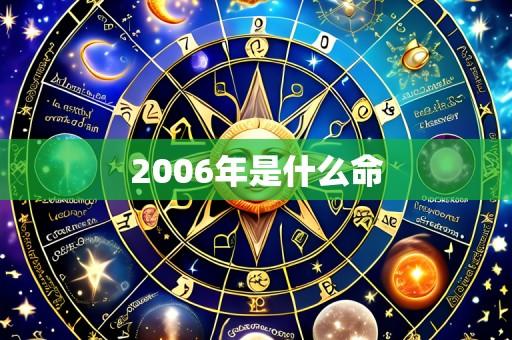 2006年是什么命