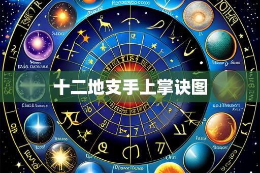 十二地支手上掌诀图