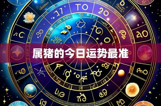 属猪的今日运势最准