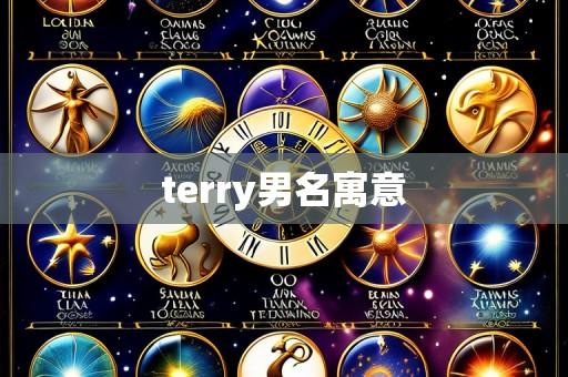 terry男名寓意