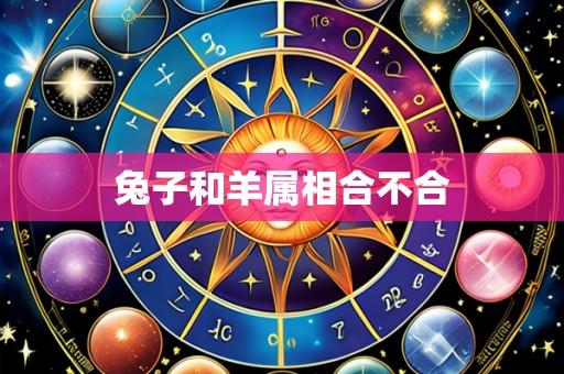 兔子和羊属相合不合