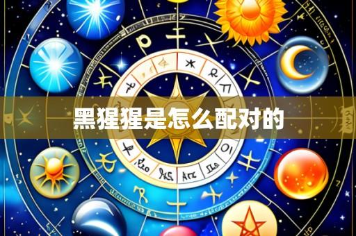 黑猩猩是怎么配对的