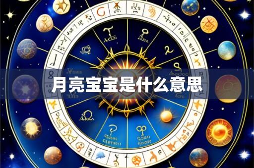 月亮宝宝是什么意思