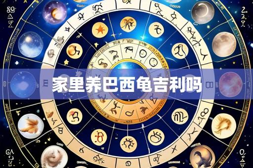 家里养巴西龟吉利吗