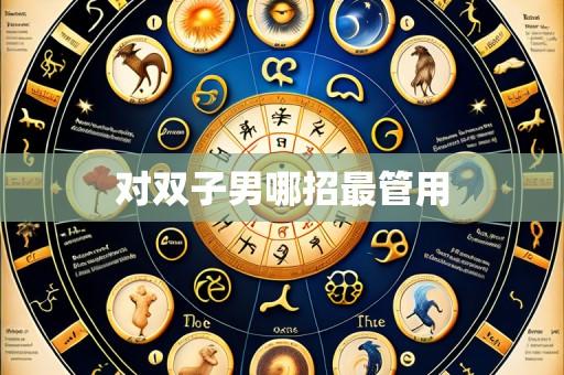对双子男哪招最管用