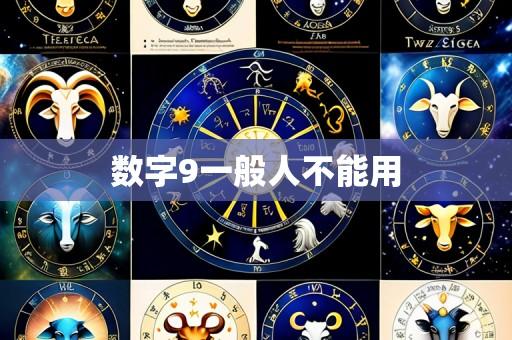 数字9一般人不能用