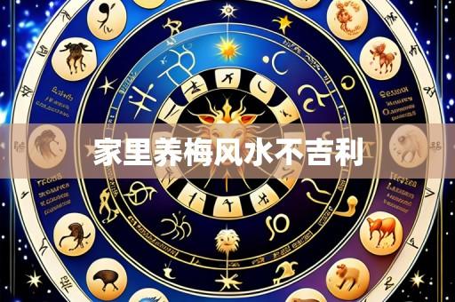 家里养梅风水不吉利