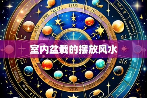 室内盆栽的摆放风水