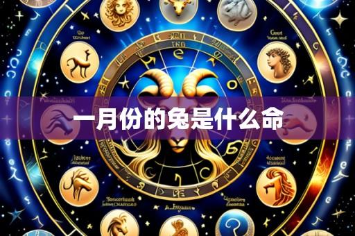 一月份的兔是什么命