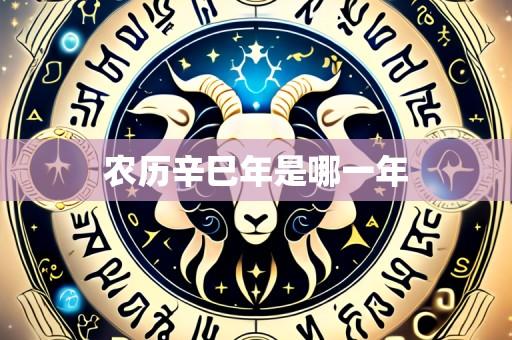 农历辛巳年是哪一年