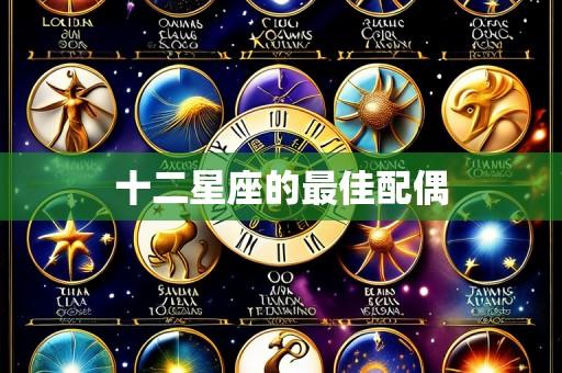 十二星座的最佳配偶