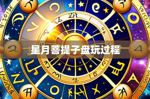 星月菩提子盘玩过程