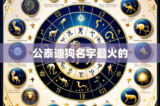 公泰迪狗名字最火的