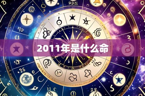 2011年是什么命