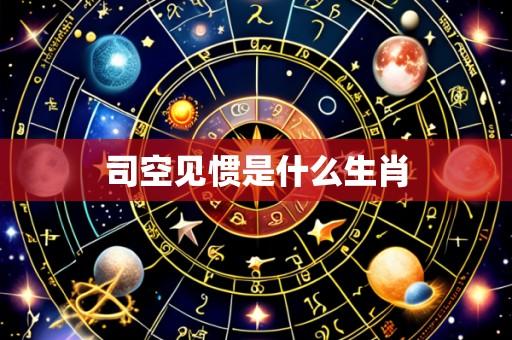 司空见惯是什么生肖