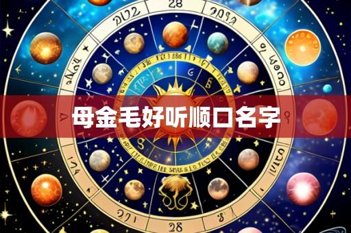 母金毛好听顺口名字