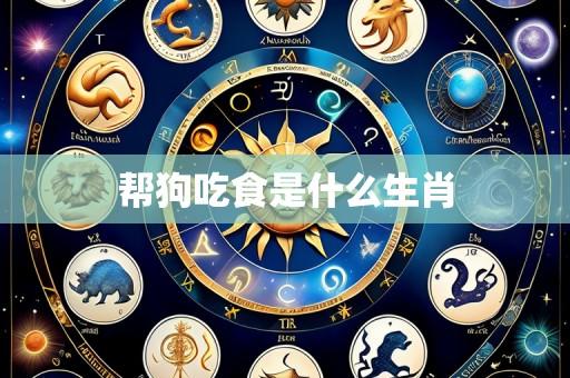 帮狗吃食是什么生肖