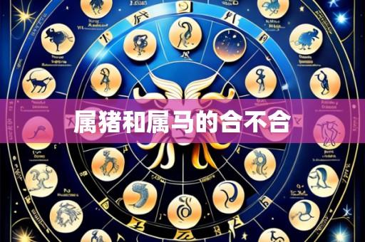 属猪和属马的合不合