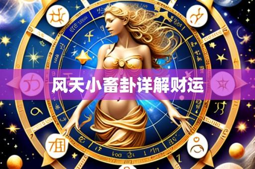 风天小畜卦详解财运