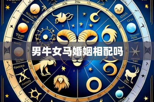 男牛女马婚姻相配吗