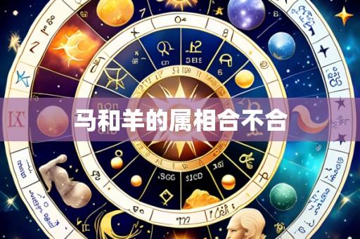 马和羊的属相合不合