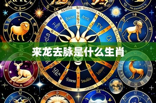 来龙去脉是什么生肖