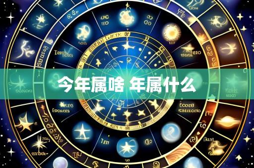 今年属啥 年属什么