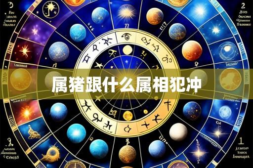 属猪跟什么属相犯冲