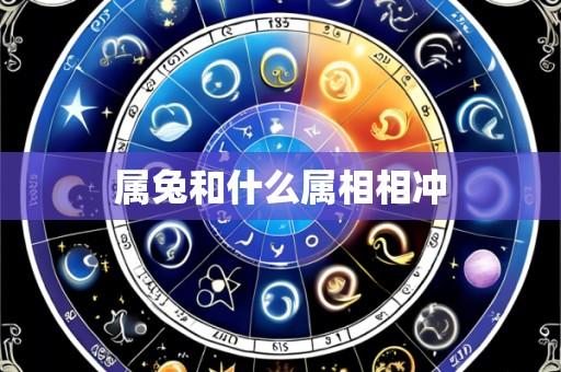 属兔和什么属相相冲