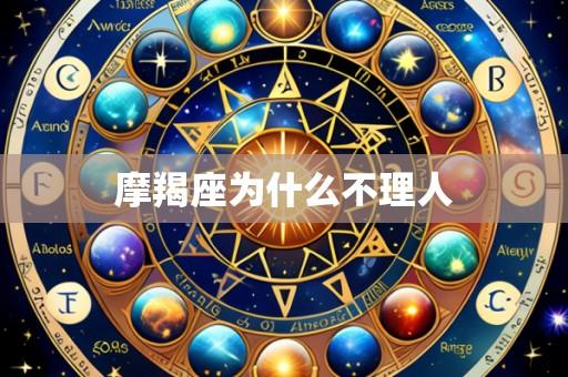 摩羯座为什么不理人