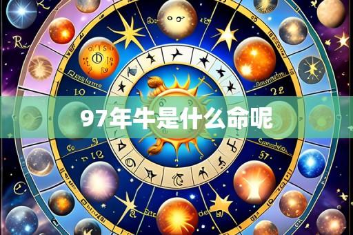 97年牛是什么命呢