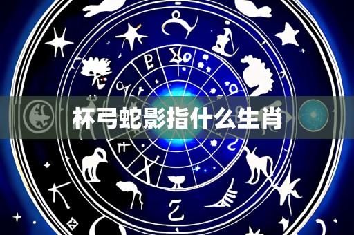 杯弓蛇影指什么生肖