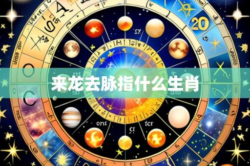 来龙去脉指什么生肖