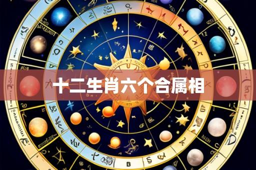 十二生肖六个合属相
