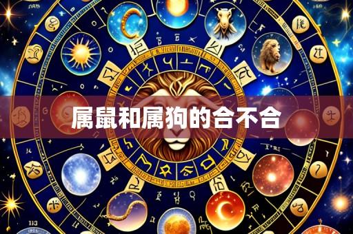 属鼠和属狗的合不合